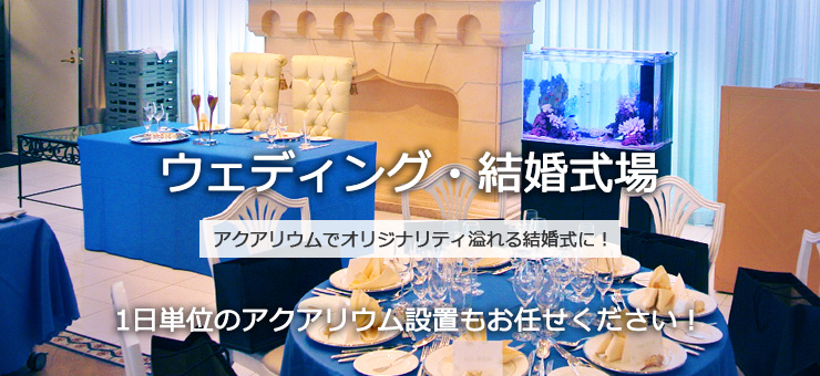 ウェディング・挙式・披露宴・二次会の水槽レンタルサービス