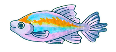 幼稚園 保育園 水槽レンタル 熱帯魚